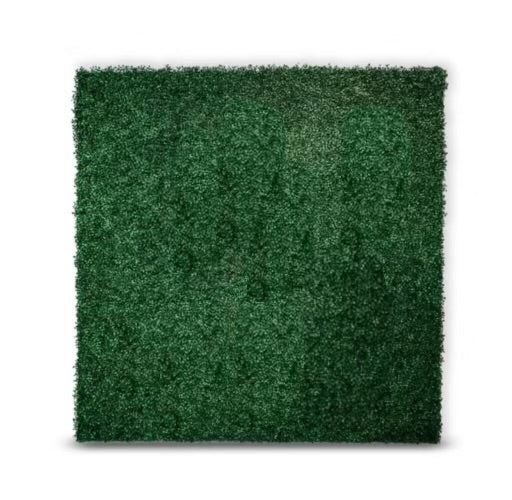 Green Grass Wall